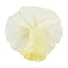 5 Yards Polyester Ruffled Ribbon OCOR-TA0004-06B-2