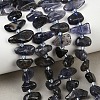 Natural Iolite Beads Strands G-L657-E04-01-1