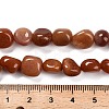 Natural Red Aventurine Beads Strands G-P568-C12-01-5