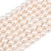 Natural Cultured Freshwater Pearl Beads Strands PEAR-F020-24C-2