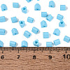 FGB Baking Paint Glass Seed Beads SEED-Q040-09A-14-4