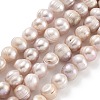 Natural Cultured Freshwater Pearl Beads Strands PEAR-C003-01D-1