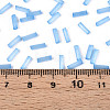 Glass Bugle Beads X-SEED-N007-28E-4