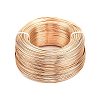 Aluminum Wire AW-S001-1.0mm-28-2