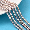 Natural Cultured Freshwater Pearl Beads Strands PEAR-I007-01P-04B-1