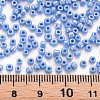 6/0 Glass Seed Beads SEED-US0003-4mm-123B-4