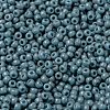 MIYUKI Round Rocailles Beads SEED-X0055-RR4479-3