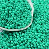 Opaque Acrylic Beads SACR-A007-01A-10-1