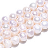 Natural Cultured Freshwater Pearl Beads Strands X-PEAR-N013-17N-01-5