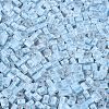 FGB Grade A Frosted Glass Seed Beads SEED-Q040-04A-01-4