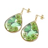Transparent Epoxy Resin & 304 Stainless Steel & Brass Stud Dangle Earrings EJEW-JE07238-5