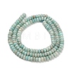 Natural Amazonite Beads Strands X-G-L635-A35-4x2mm-4