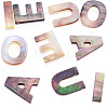 10Pcs 5 Styles Natural Black Lip Shell Beads SSHEL-TA0001-25-3