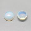 Opalite Cabochons G-R416-6mm-49-2