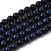 Natural Tiger Eye Beads Strands G-M445-A01-03-1