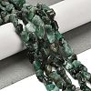Natural Emerald Beads Strands G-P497-01E-15-2