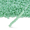 TOHO 6/0 Round Beads SEED-TR06-0144-2