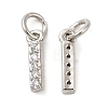 Brass Micro Pave Grade AAA Cubic Zirconia Charms LS-ZIRC-P067-11P-I-NR-2