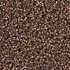 MIYUKI Delica Beads X-SEED-J020-DB0287-3