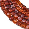 Natural Amber Beads Strands G-K426-A02-03-4