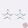 925 Sterling Silver Charms STER-I014-17S-4