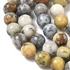 Natural African Opal Beads Strands G-B048-B03-04-3