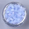 6/0 Transparent Glass Seed Beads SEED-S027-03B-10-2