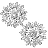 Iron Rhinestone & Glass Cabochons FIND-WH0366-419A-1