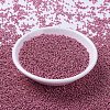 MIYUKI Round Rocailles Beads X-SEED-G007-RR1076-2