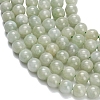 Natural Myanmar Jade/Burmese Jade Beads Strands G-L642-B11-6mm-4