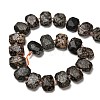 Natural Snowflake Obsidian Beads Strands G-H078-B22-01-3