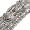 Natural Labradorite Nuggets Beads Strands G-J335-40-2