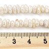 Natural Keshi Pearl Cultured Freshwater Pearl Beads Strands PEAR-C003-31B-5