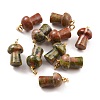 Natural Unakite Pendants G-M380-C02-P-1