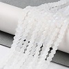 Transparent Glass Beads Strands LS-EGLA-A044-T4mm-MB19-2