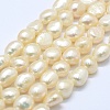 Natural Cultured Freshwater Pearl Beads Strands PEAR-K004-03C-01-1