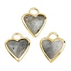 Natural Labradorite Faceted Pendants G-Z154-01G-07-1