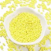 Baking Paint Glass Seed Beads SEED-A033-04I-4