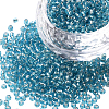 3000Pcs Glass Seed Beads SEED-PA0001-29A-03-1