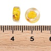 Luminous Handmade Foil Glass Beads LAMP-P020-01A-03-4