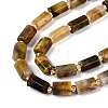 Natural Tiger Quartz Beads Strands G-Q608-25-4