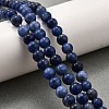 Natural Sodalite Round Bead Strands G-P072-27-10mm-1