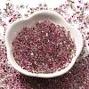 Transparent Baking Paint Glass Seed Beads SEED-A033-06A-19-2