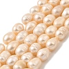 Natural Cultured Freshwater Pearl Beads Strands PEAR-I007-01E-01B-2