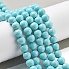 Synthetic Turquoise Beads Strands G-A255-A04-01B-4