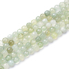 Natural New Jade Bead Strands G-R411-15-6mm-1