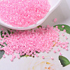 MIYUKI Delica Beads SEED-MY11-DB0245-1