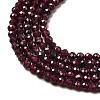Natural Garnet Beads Strands X-G-I341-09B-01-3