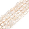 Natural Cultured Freshwater Pearl Beads Strands PEAR-P064-20H-02C-2