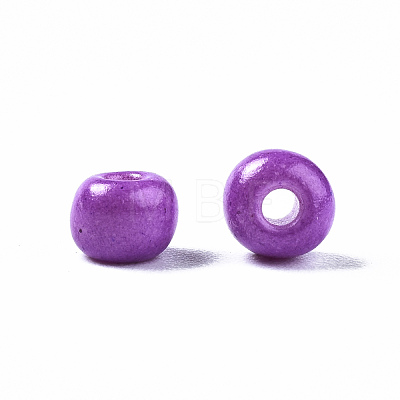 6/0 Glass Seed Beads SEED-S058-A-F454-1